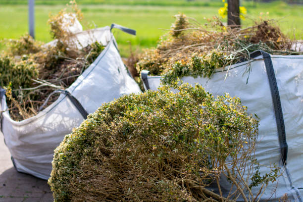 Best Household Junk Removal  in Rockport, IN